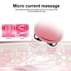 Portable Facial Micro-current Beauty Double Roller Massager